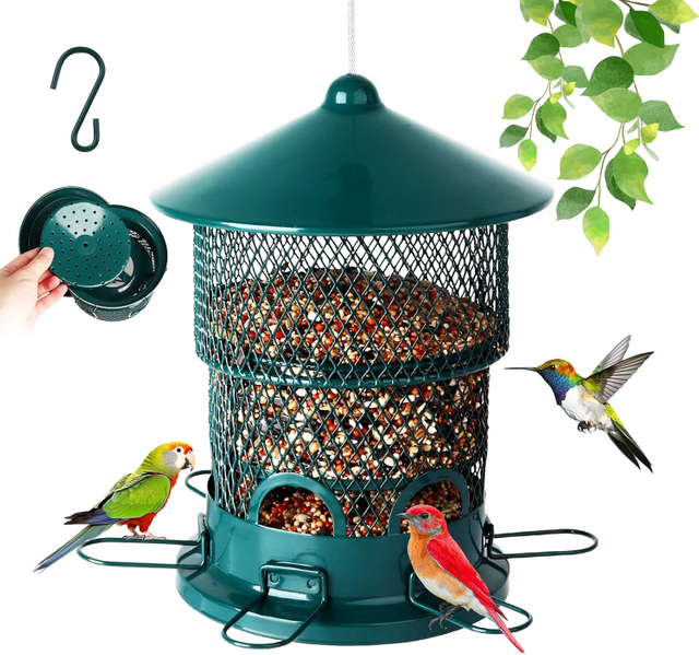 Removable Base Wild Bird Feeder for Outdoors