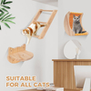 Moon-Shaped Cat Hammock Wall Set