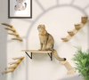 DIY Cat Wall Shelves with Scratching Mat