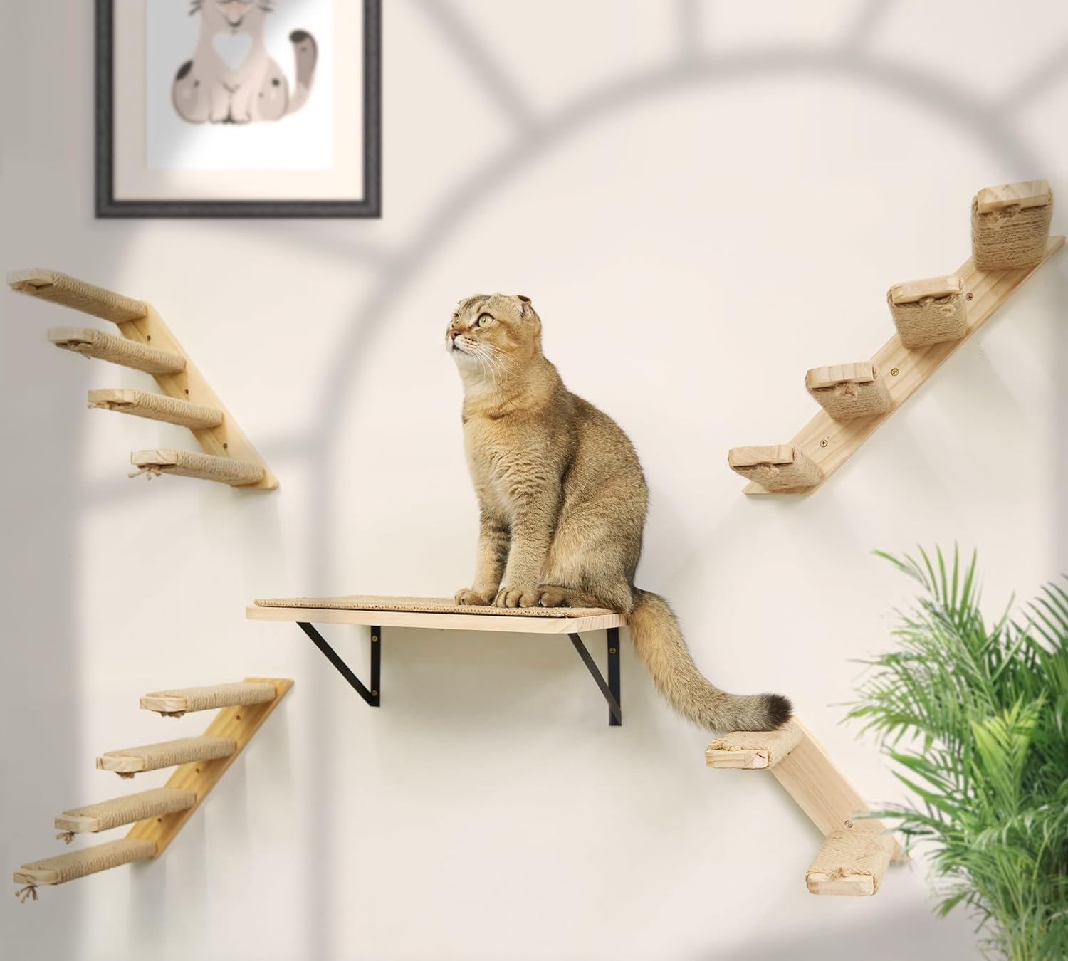 DIY Cat Wall Shelves with Scratching Mat