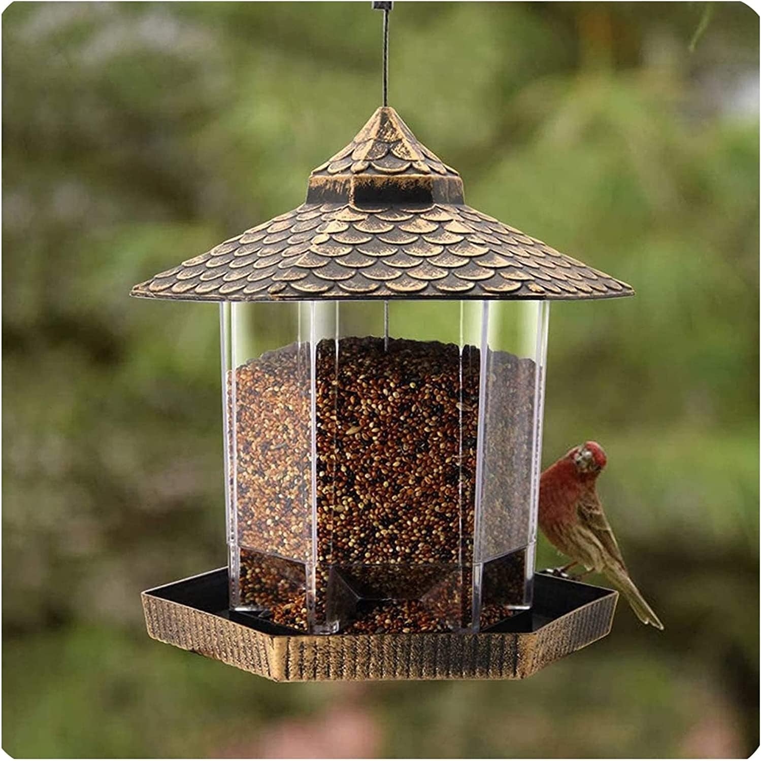 Hexagon Shaped Wild Bird Feeder with Large Capacity
