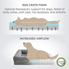Dog Bed