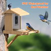Bird Feeder