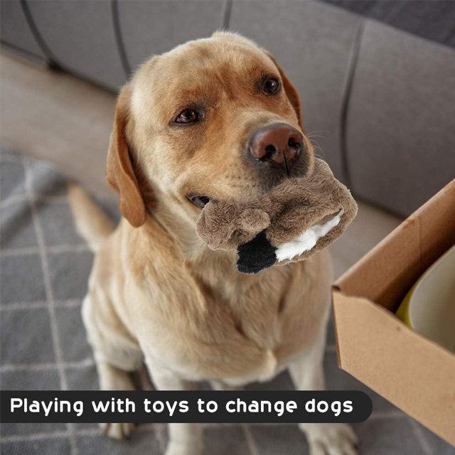 Dog Toys