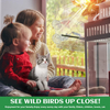 Outdoor Transparent Window Bird Feeder
