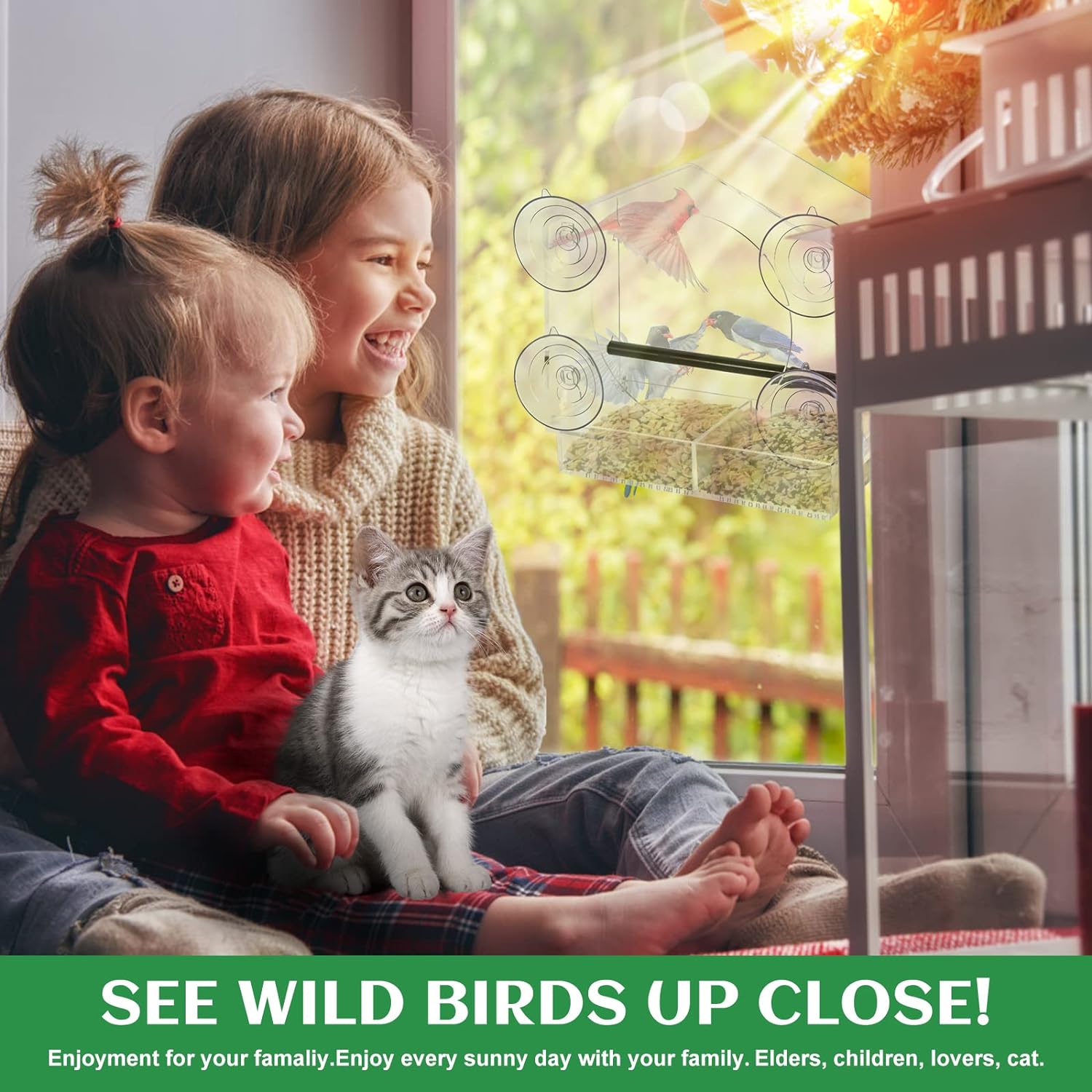 Outdoor Transparent Window Bird Feeder
