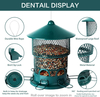 Removable Base Wild Bird Feeder for Outdoors