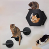 Modern Cat Wall Furniture with Steps And Scratching Pad