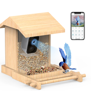 Bird Feeder