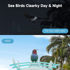 Smart Bird Feeder with 1080P HD Camera