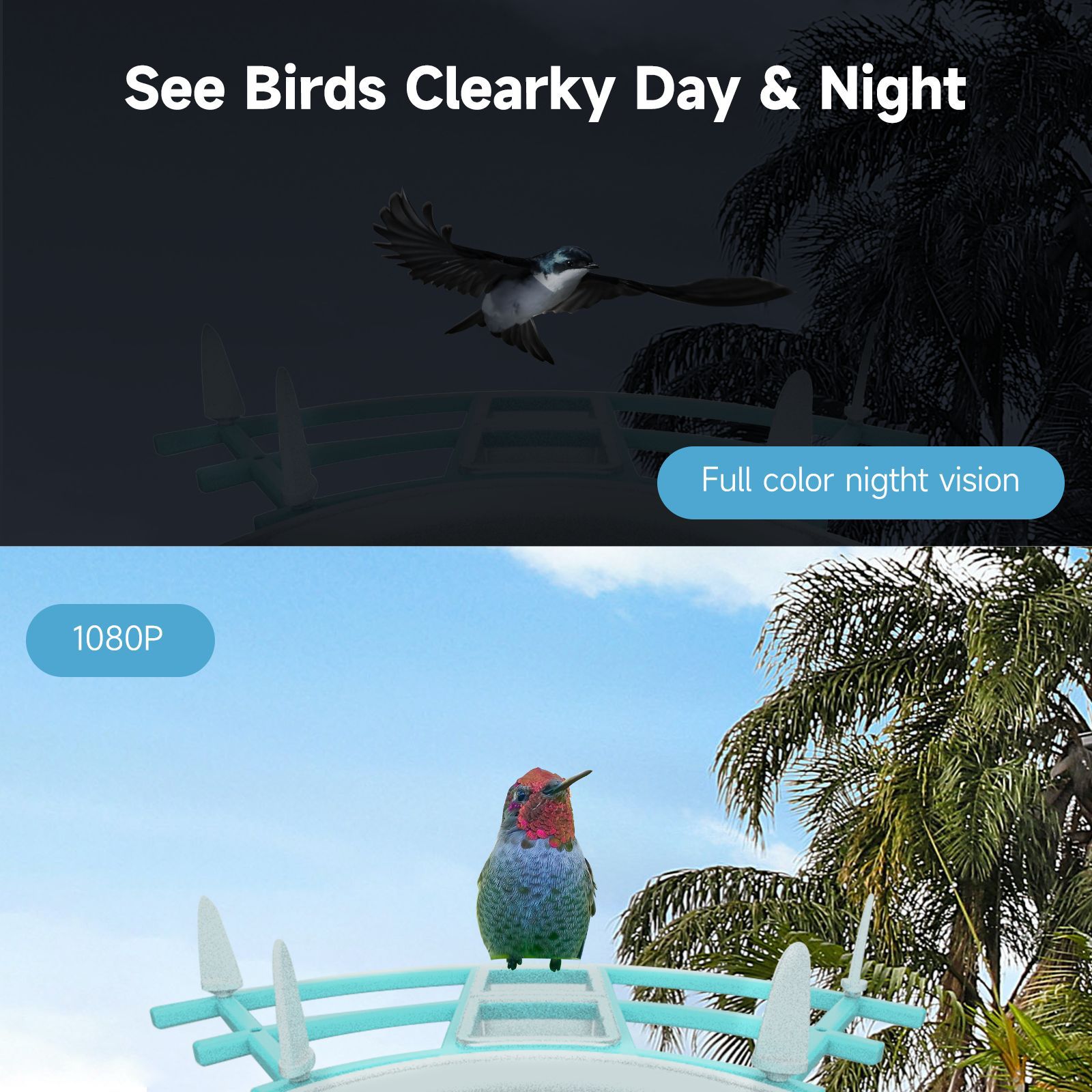Smart Bird Feeder with 1080P HD Camera