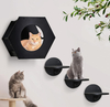 Modern Cat Wall Furniture with Steps And Scratching Pad