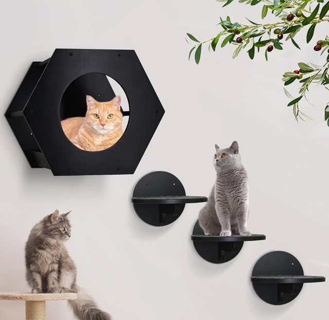 Modern Cat Wall Furniture with Steps And Scratching Pad