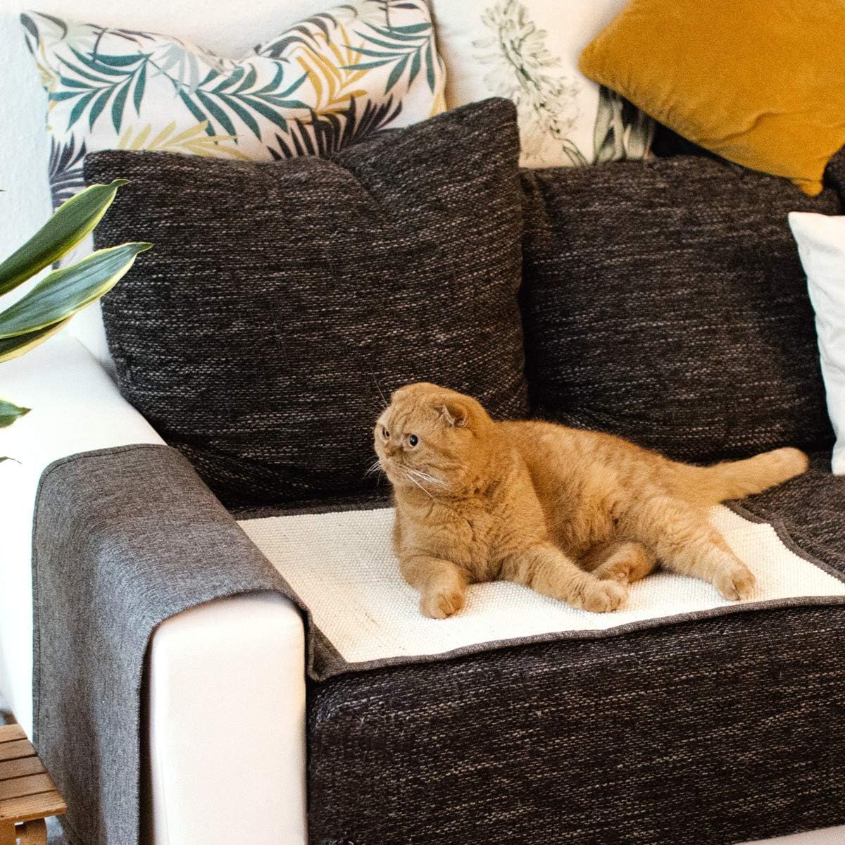 Sisal Cat Scratch Furniture Protector
