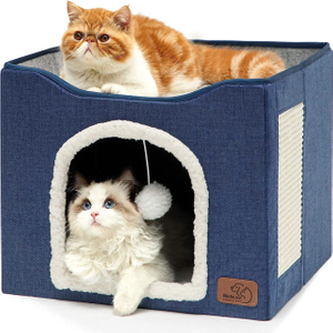 Cat House