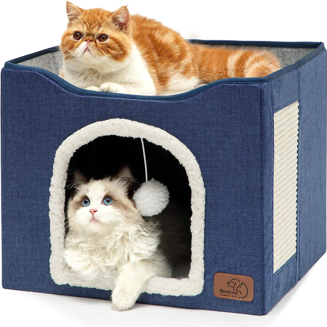 Cat House