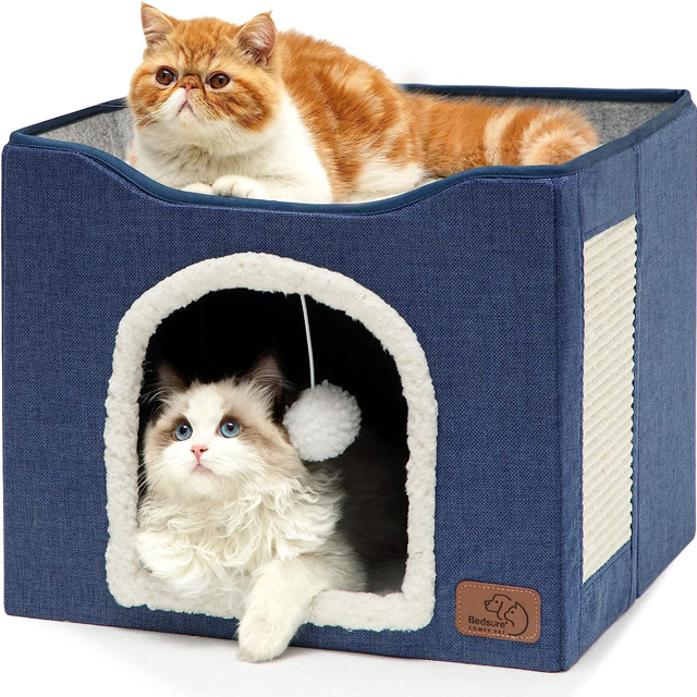 Cat House