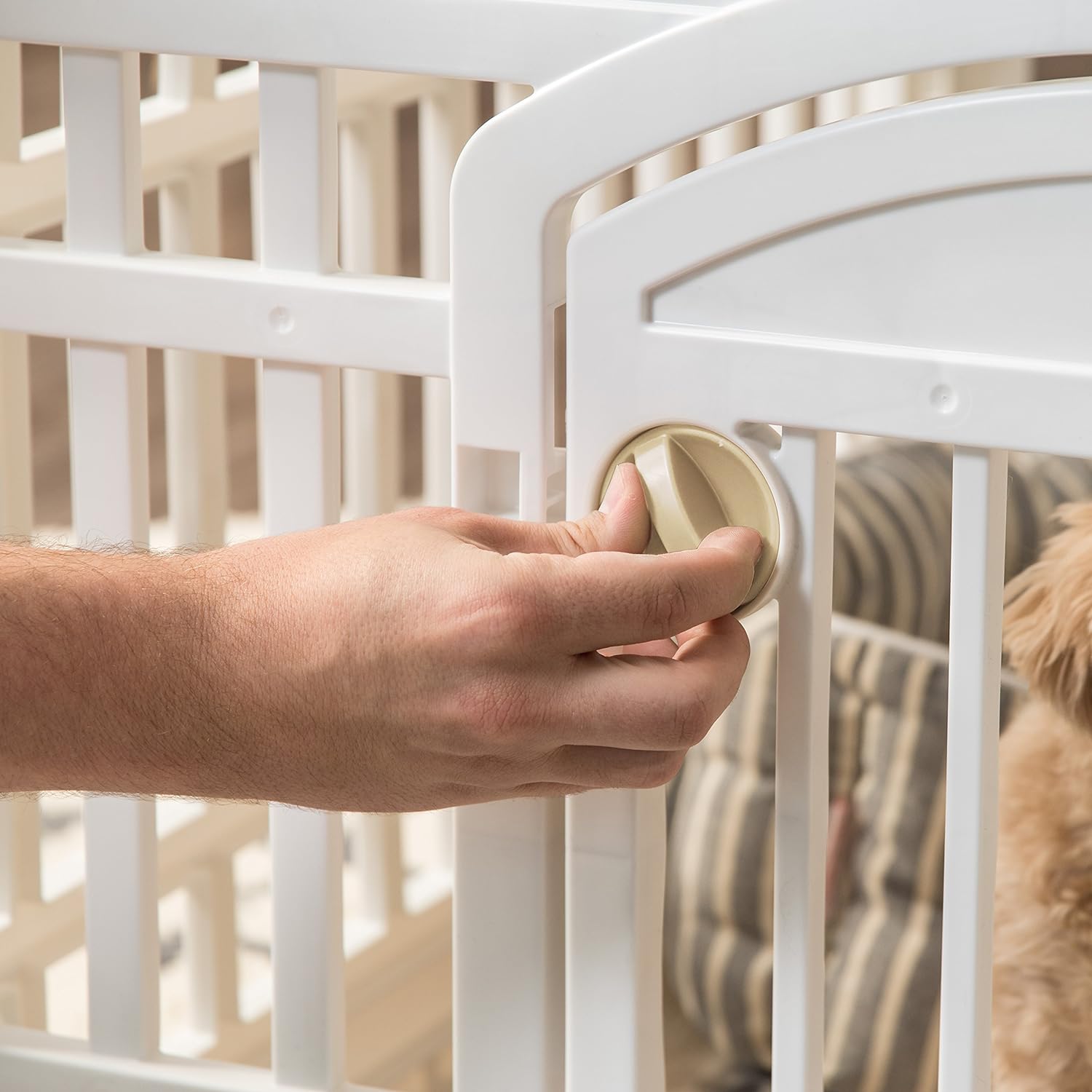 Stable Indoor Dog Fence