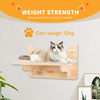 Pine Cat Wall Frame for Climbing