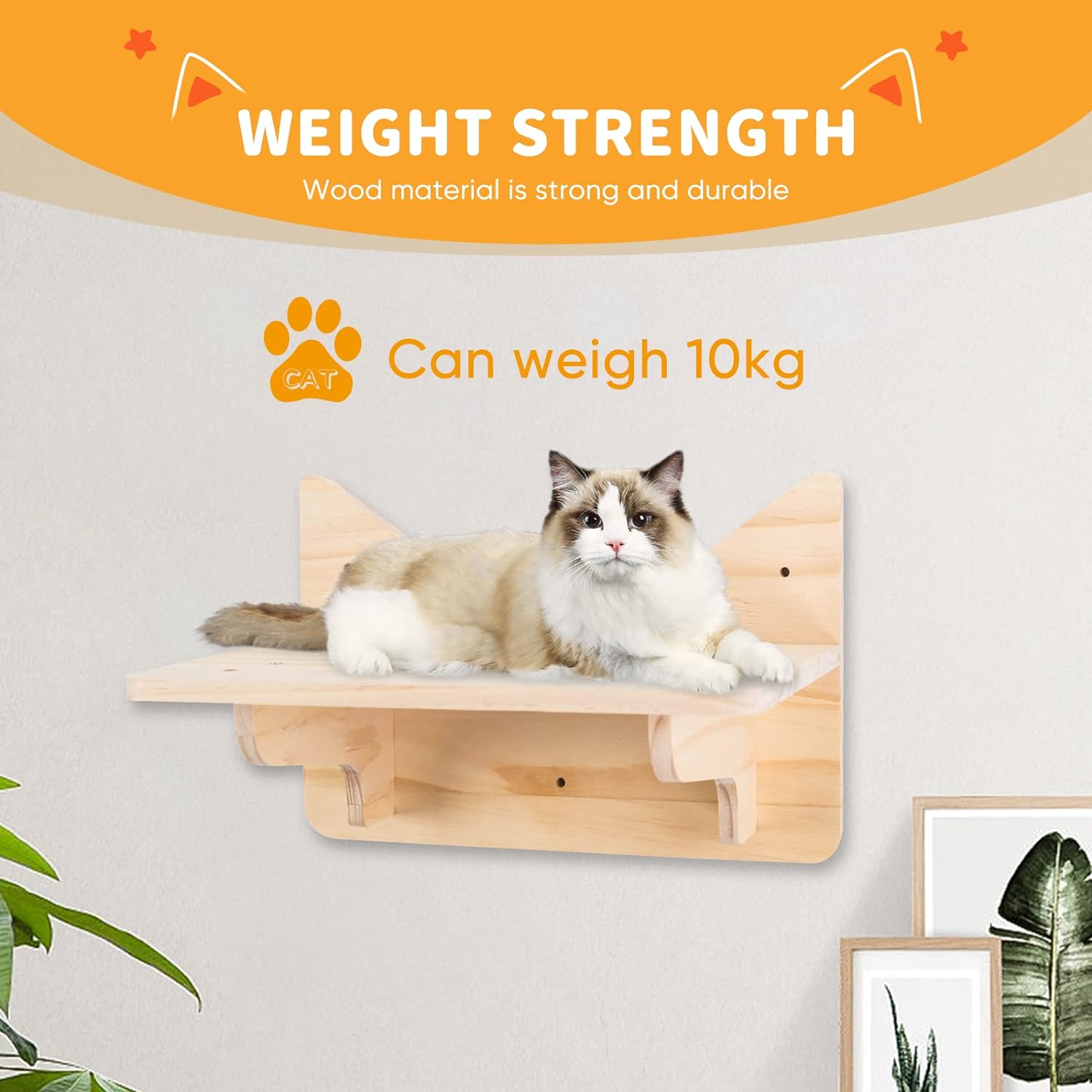 Pine Cat Wall Frame for Climbing