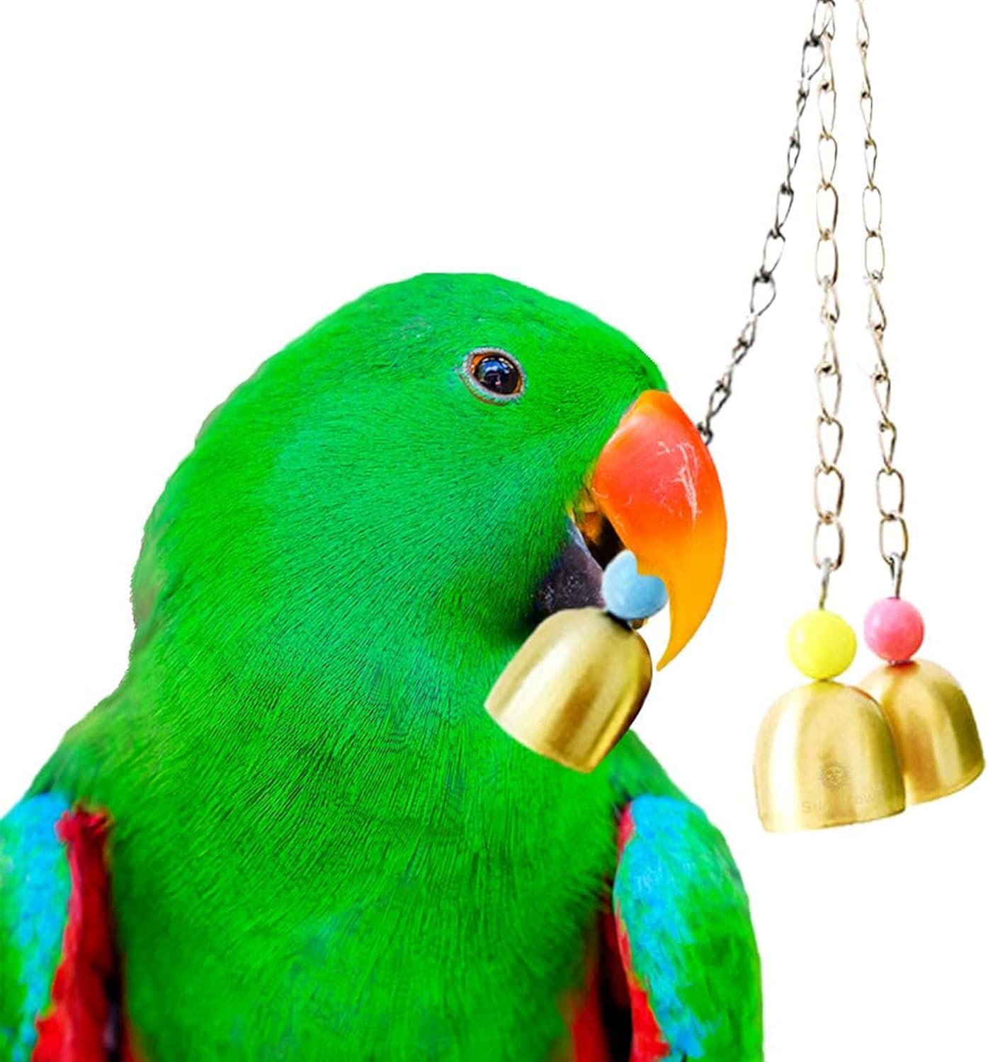 Colorful Parrot Bell Toy