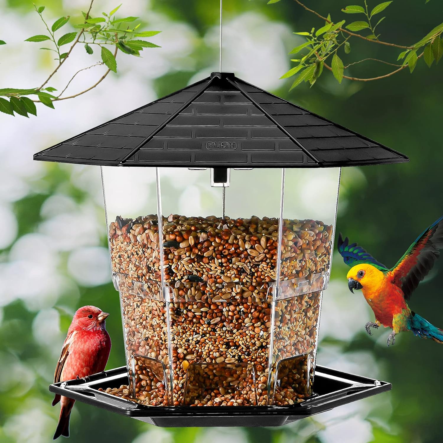 Bird Feeders for Ourside with A Latch Feature