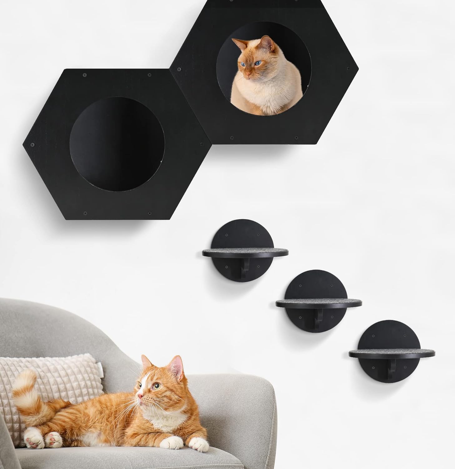 Modern Cat Wall Furniture with Steps And Scratching Pad