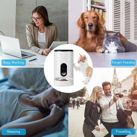 2 Feed Your Pet Anywhere.jpg