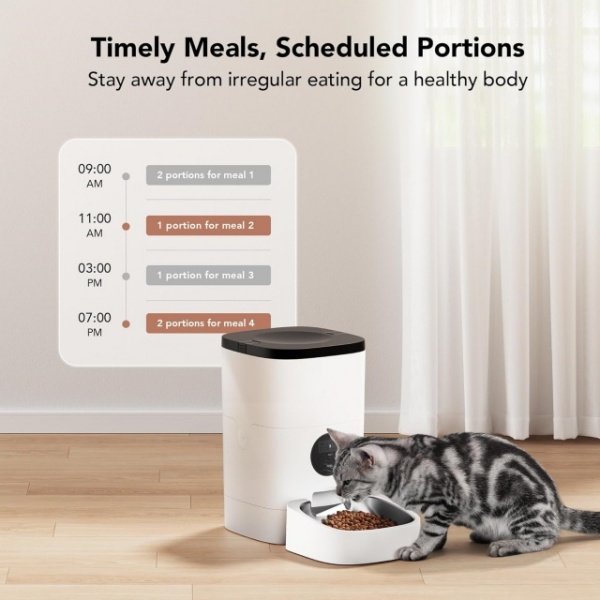 Timely Meals Scheduled Portions