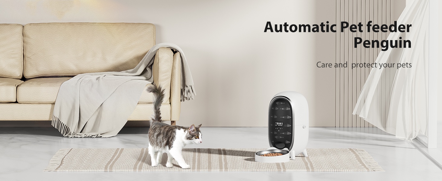 Automatic Feeder