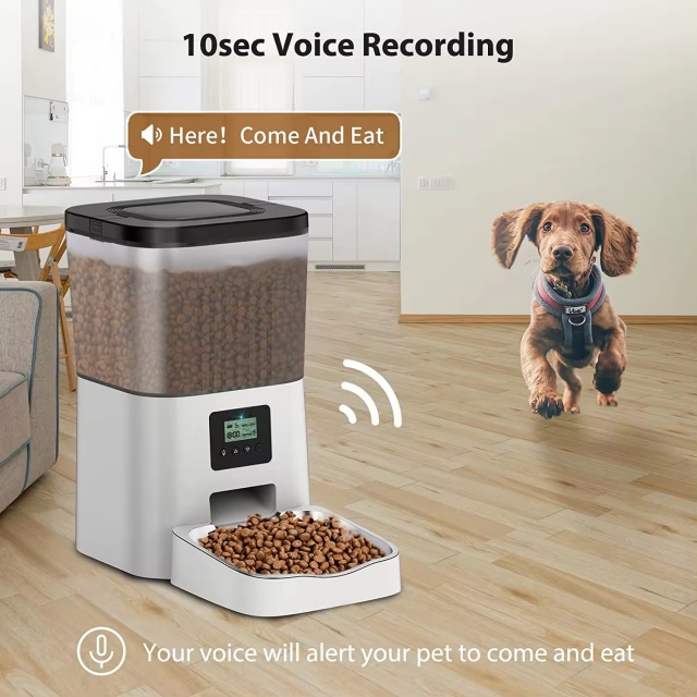 Wehao Pets 4L Square Automatic Cat Food Feeder