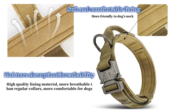 2.buckle down dog collar