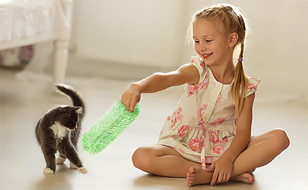 1.chew toy for cats