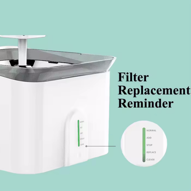 Smart Reminder Water Fountain