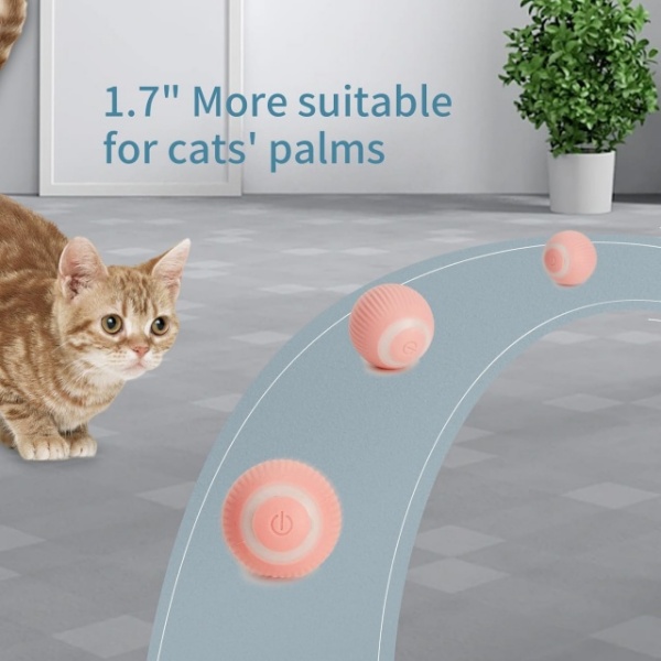 Cat Enrichment Toys