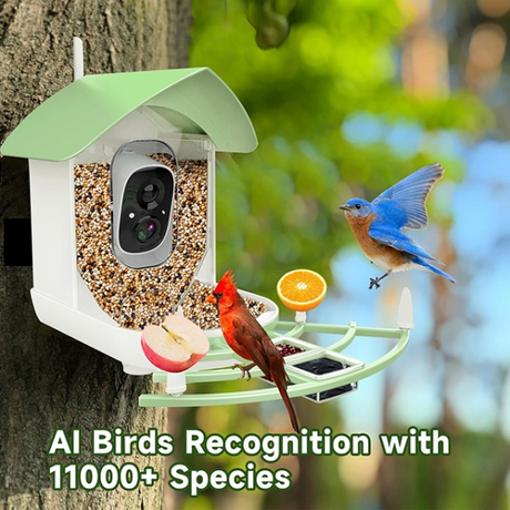 Bird_Feeder_with_AI_Bird_Recognition.jpg