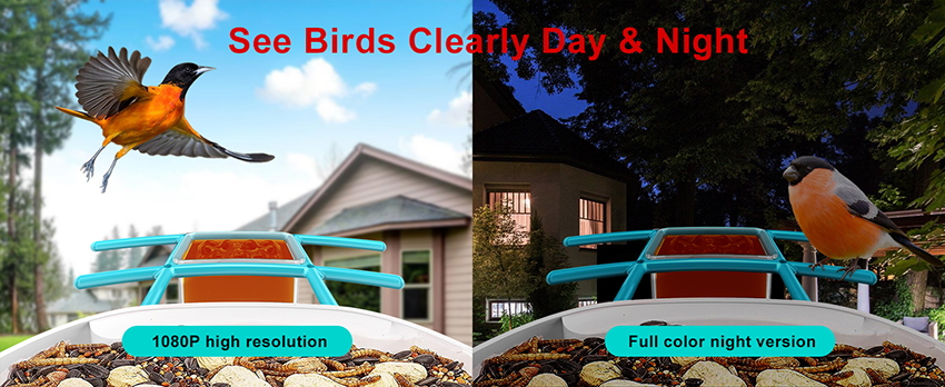 5、Bird Buddy Hummingbird Feeder with Camera