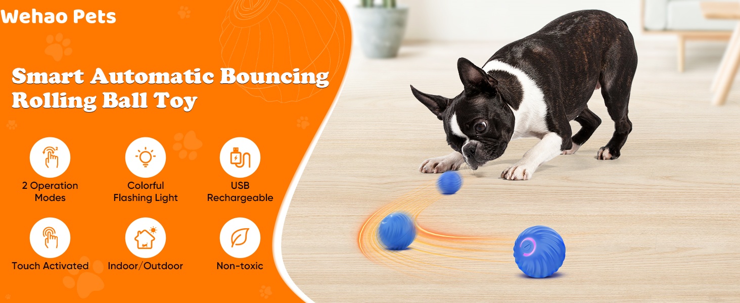 Dog Smart Toys
