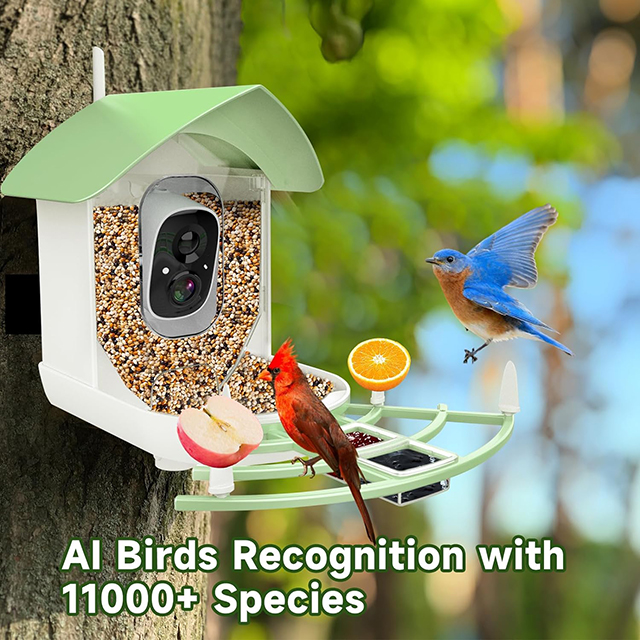 Wehao Smart AI Bird Feeder Camera Motion Detection Solar-Powered