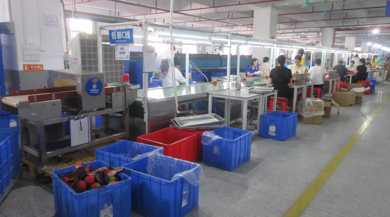 Packing Line