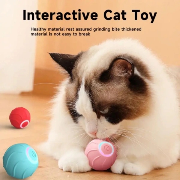 Interactive Cat Toy