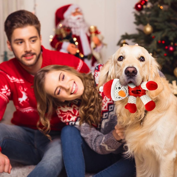 Dog Feeding Toys
