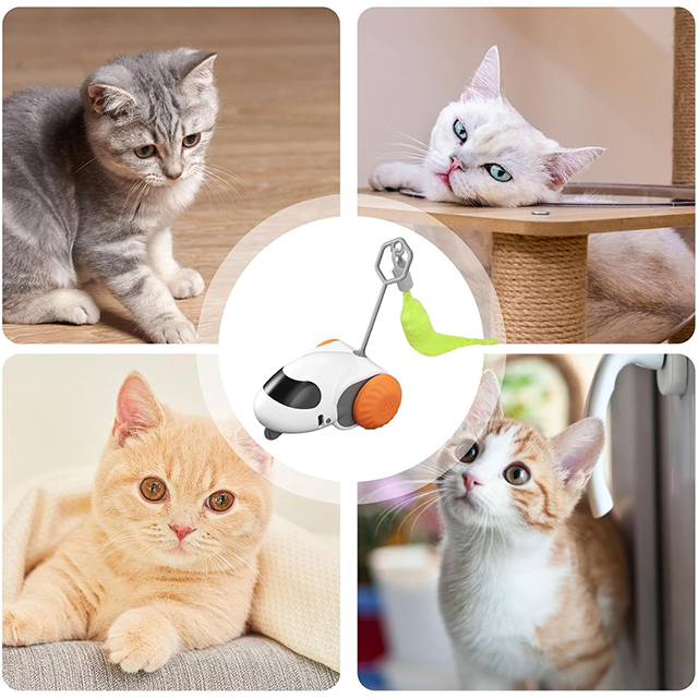 Wehao Smart Cat Toy Durable Interactive And Quiet