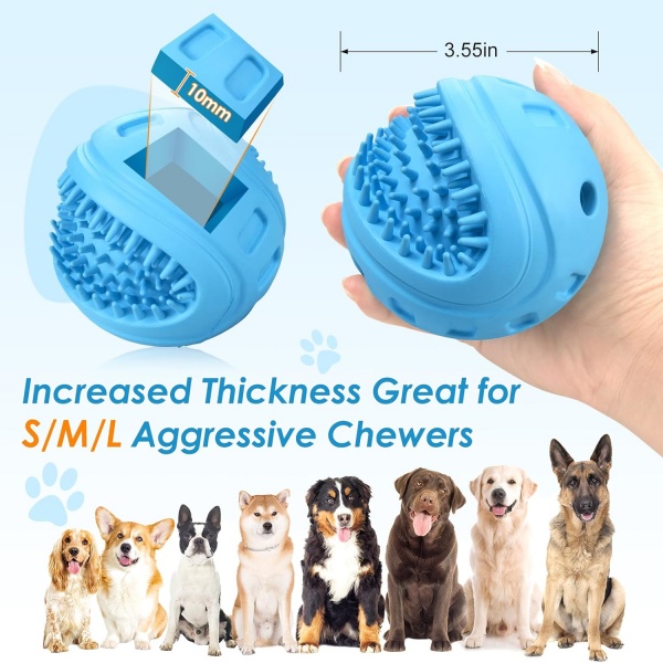 Best dog gifts