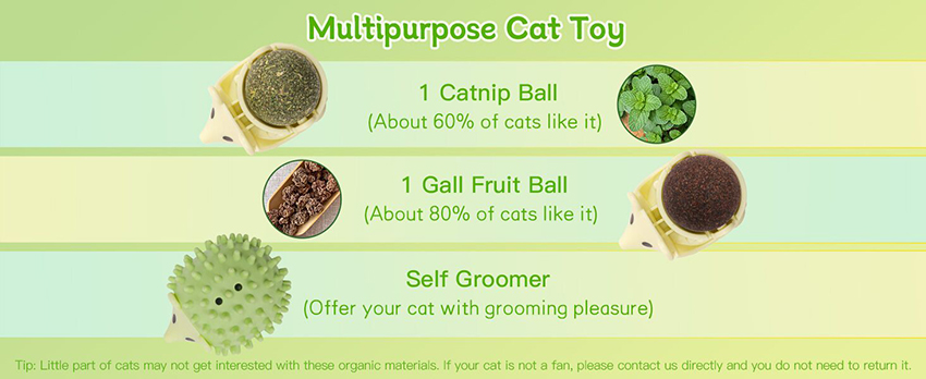4.Dental Health Support Catnip Toys