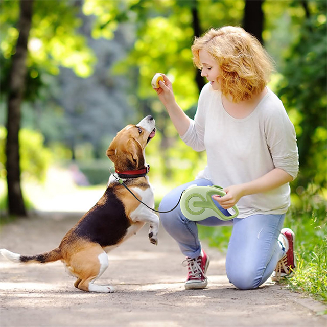 Wehao Retractable Dog Leash Reflective TangleFree Durable Nylon