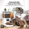 Wehao Pets 4L Square Automatic Cat Food Feeder