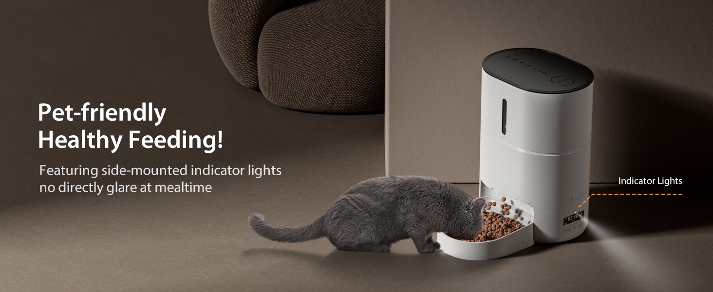 2.Pet Friendly Healthy Feeding