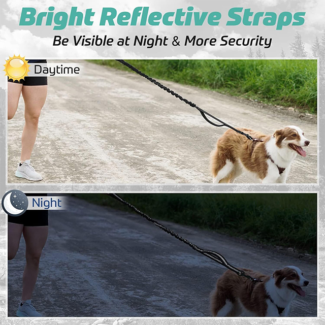 Wehao Sturdy Heavy Duty Anti Shock Bungee Dog Leash Reflective