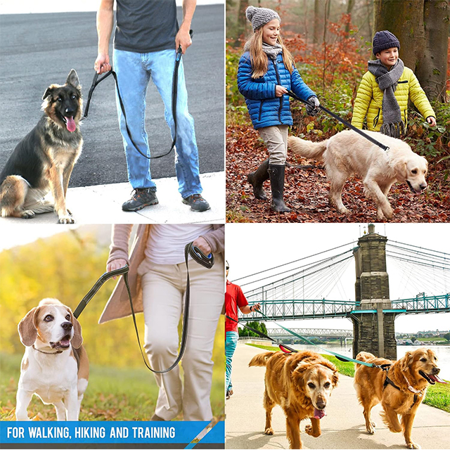 Wehao Dog Leash Dual Handles Nylon Traffic Reflective 360 Clasp